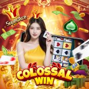 B1 bet app